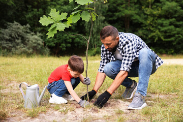 Father and his son planting tree into soil outdoors