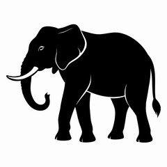 elephant vector illustration
