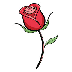 Vibrant red rose illustration with green leaves against white background in vector style