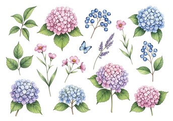 Beautiful watercolor collection of hydrangea blossoms and delicate floral elements with butterflies