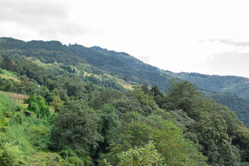 Scenic beauty of Green forests of Himalayan mountains, Okhrey, sikkim, India. Okhrey village is remote place in Sikkim where peaceful, tranquil Himalayan mountain range is enjoyed by tourists.