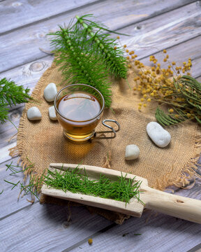 Horsetail herbal tea in a glass cup with fresh horsetail plant, black teapot and rustic natural setting. Healing infusion for wellness and detox