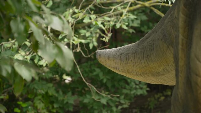 Tail of unrecognizable mechanized dinosaur doll moves from side to side on sunny day among bushes in thicket. Interactive details for fun and education.