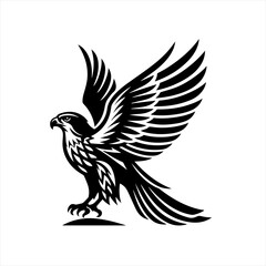 Obraz premium Majestic Falcon in Flight Silhouette 1.