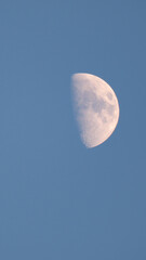 Close-up image of the full moon. The detailed surface and warm color create a dramatic and mystical atmosphere. Ideal for astronomy, nature, nightscape, or space-related projects.