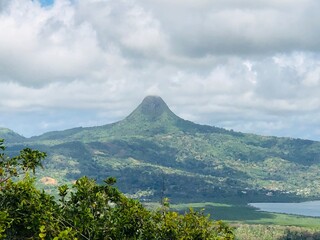 Faune et flore de l'île de Mayotte