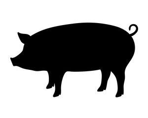Fototapeta premium Black Silhouette Illustration of a Pig Standing on a White Background
