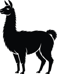 Fototapeta premium Black Silhouette of a Llama Standing Side View Illustration