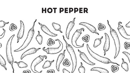Chili pepper sketch. Horizontal seamless pattern. Seamless pattern. Hand drawn vector illustration. Hot pepper. Kitchen spice