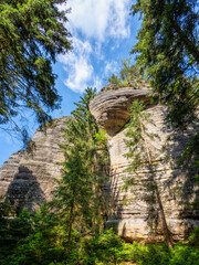 Fototapete bei efototapeten.de bestellen   