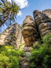 Fototapete bei efototapeten.de bestellen   