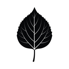 Aspen Leaf Silhouette Vector &ndash; Solid Black Tree Leaf on White Background