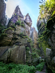 Fototapete bei efototapeten.de bestellen   