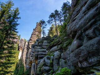 Fototapete bei efototapeten.de bestellen   