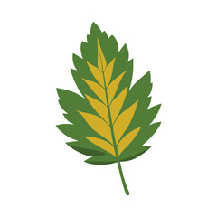 Tamarack Leaf Vector Illustration on White Background – Minimalist Botanical Design