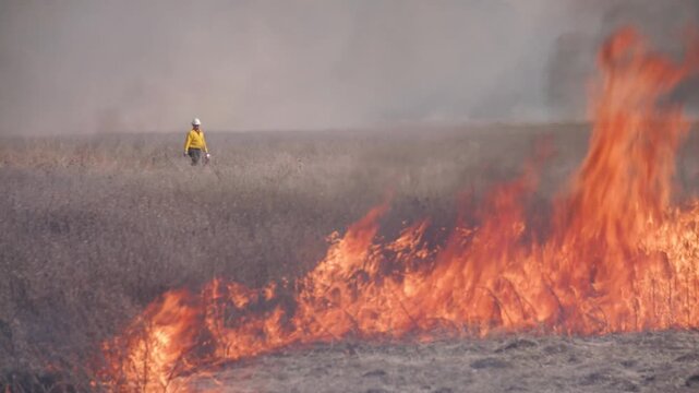 Controlled brush fire burn in a field