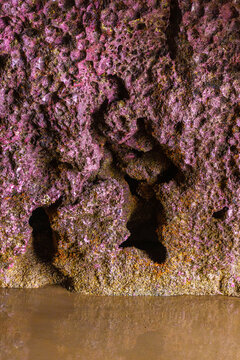 Abstract cave texture with vibrant sea rock colors
