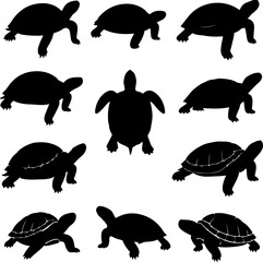 Obraz premium Sea Turtle and Tortoise Silhouettes in Various Poses