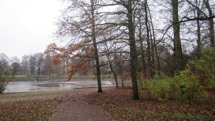 autumn in the park