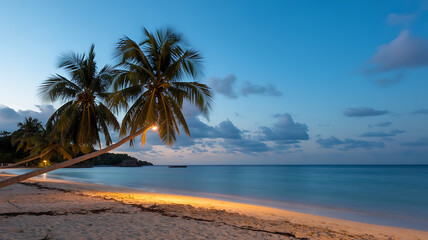 Tropical beach at twilight, palm trees on the shore.
