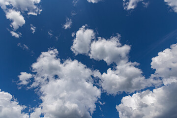 Obraz premium Big puffy white clouds float in a bright blue sky.