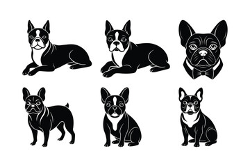 Fototapeta premium Six French Bulldogs Poses Black White animal illustration
