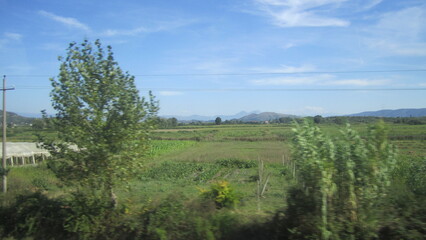 landscape with trees and blue sky