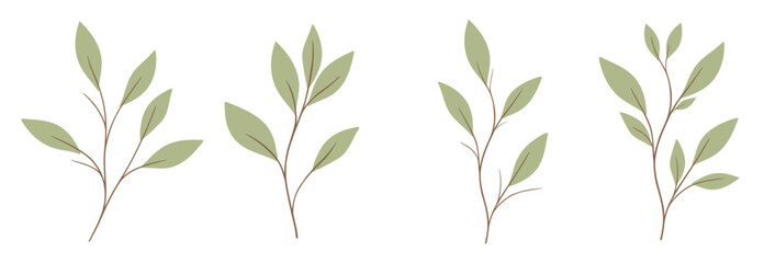 Minimal botanical sprigs set with soft green leaves flat illustration