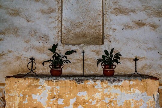 Floreros