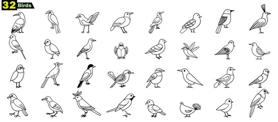 Collection of thirty two simple black and white line art bird illustrations birds