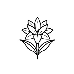 Tuberose flower outline icon on white background