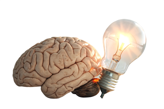 Innovative ideas emerge as a lightbulb shines from a human brain, symbolizing creativity and enlightenment in a AI generated by PNG - Powered by Adobe