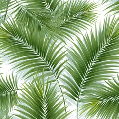 Fototapeta premium Lush green palm fronds arranged in an overlapping pattern against a soft white background, creating a vibrant tropical aesthetic