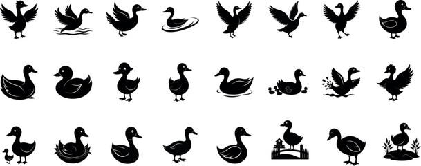 Obraz premium Duck Silhouette Bundle – Flying, Swimming, Standing Ducks Vector Set | Black Animal Wildlife Clipart