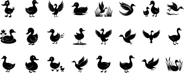Fototapeta premium Duck Silhouette Bundle – Flying, Swimming, Standing Ducks Vector Set | Black Animal Wildlife Clipart