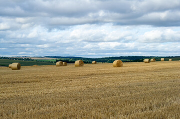 Fototapeta premium Golden hay bales rest across a patchwork field under a softly clouded sky.