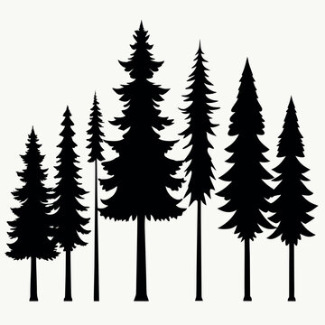 Vector illustrations of a winter forest landscape with a set of pine and fir trees, their silhouettes, and various holiday decorations