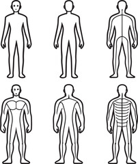 Human Body Diagram Outline for Health and Medical Concepts