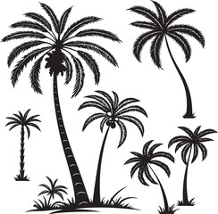 Obraz premium Tropical palm tree silhouette collection