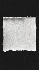 torn paper with copy space