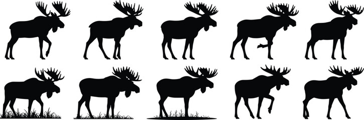 Moose silhouette set, walking standing grazing poses, large antler profile, wildlife vector illustration, forest animal icon, nature reference