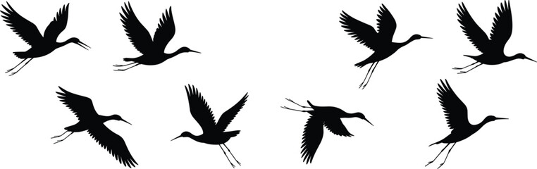 Obraz premium Flying bird silhouettes, long beak birds, graceful flight motion, avian vector illustration, dynamic wing positions, wildlife icon set, ornithology