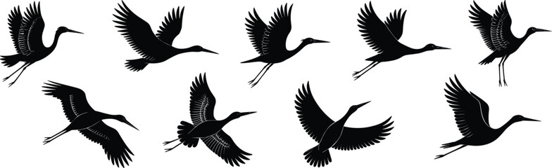 Flying bird silhouettes, crane heron vector, long neck birds, graceful flight motion, wing posture variation, avian icon set, wildlife