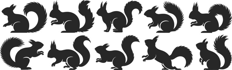 Squirrel silhouette set, black squirrel poses, bushy tail animal shapes, side profile squirrel vector, wildlife clipart, cad drawing flat vector illustration