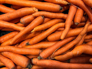 fresh carrots on market
