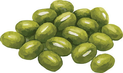 Vector realistic watercolor illustration of green mungo beans