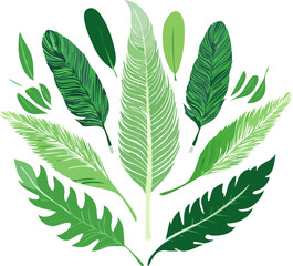 Tropical Green Leaves Collection Illustration 1.