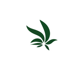Illustration of a dark green plant with leaves on a white background