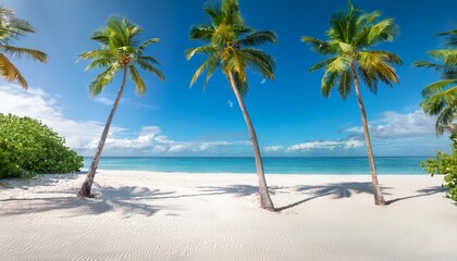 Obraz premium a line of palm trees framing white sand against the background of a sparkling ocean creates a pi