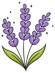 Lavender Sprigs with Leaves and Stars Botanical Illustration Floral Pattern